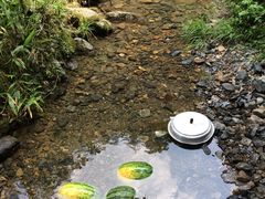 -石台牯牛降景区