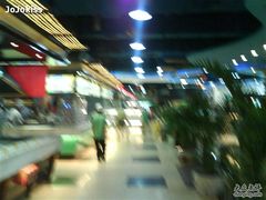 内景8-渔民新村(番禺总店)