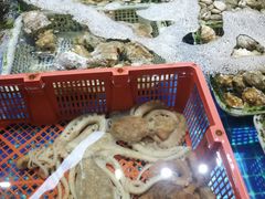-四道口水产市场