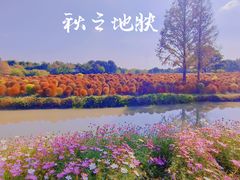 -花开海上生态园