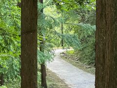 -东天目山风景区