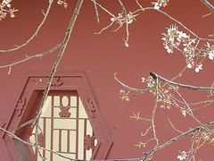 -桃花堤公园