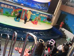 -成都浩海立方海洋公园