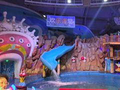 -烟台海昌鲸鲨海洋公园