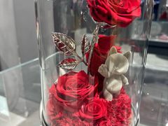 -ROSEONLY诺誓(国际广场购物中心店)