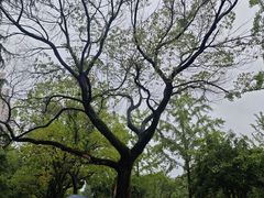 -杭州西湖银泰百货