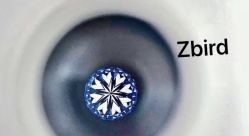 -钻石小鸟钻戒婚戒定制(石路店)