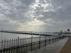-碧海金沙
