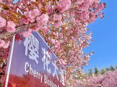 -石岛赤山风景区