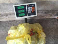 -马陆小张葡萄园农家乐