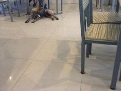 -Sasa的海(蜈支洲岛后海店)