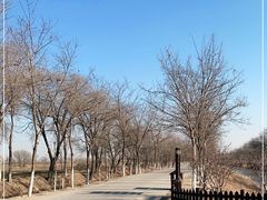 -西青郊野公园