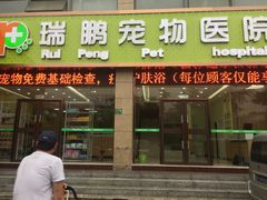 -瑞鹏宠物医院·内科·中兽医·骨科(苗圃店)