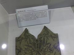 -中国第四纪冰川遗迹陈列馆