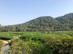 -中国茶叶博物馆(双峰馆区)