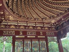 -汇龙潭