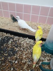 -Moni星球萌宠·小马宝莉·灵蛇·高端高阶全萌宠互动体验俱乐部(红豆国际广场店)