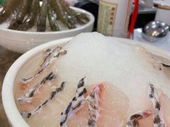 -永記粤菜·五指毛桃花雕鸡煲(九亭店)