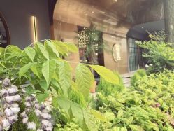 点击看大图 -花隐·美芙炫海菲秀皮肤管理中心