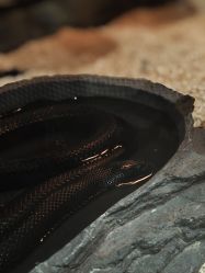 -Zoolung Zoolung动物主题公园(海信广场店)