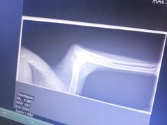 -安安宠医·安宠宠物医院