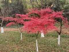 -幕燕滨江·长江观音景区