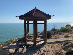 -广东惠东海龟国家级自然保护区