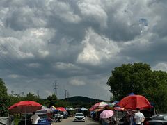 -塘栖枇杷特色园区