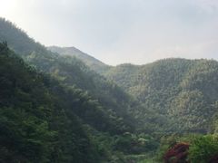 -四明山国家森林公园