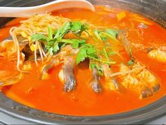 酸汤鱼-贵州大厦贵州厅(樱花园西街店)