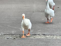 -浙江万里学院(钱湖校区)