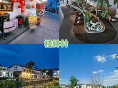 -天目湖山水园