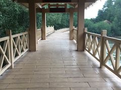 -大亚湾红树林城市湿地公园