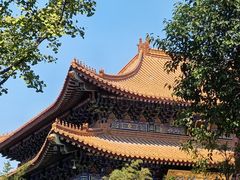 -西安大兴善寺