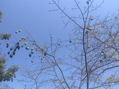 -晓港公园