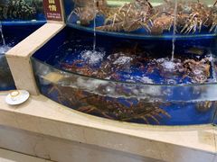 水产区-海景壹号大酒店(滨湖店)