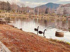 -浙江农林大学(东湖校区)