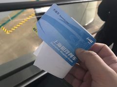 -龙阳路磁悬浮列车总站-停车场