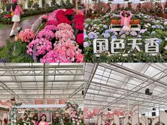 -盈香心动乐园