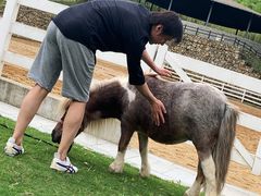 -宁海安岚·南溪阁全日餐厅