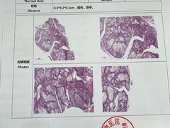 -哆趣宠物医院·眼科·内镜·急重症转诊中心(上海店)