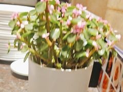 -顺峰海鲜酒楼(省府店)