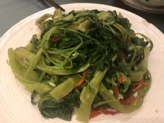 -沙龙酒家