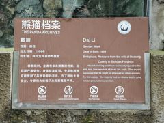 -都江堰中华大熊猫苑