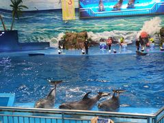 -多彩贵州城极地海洋世界