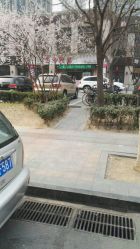 -艺米阳光Hair Salon