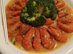 -千灯盛汇·头牌粤菜(致越优城店)