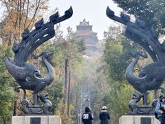 -东湖落雁景区