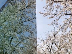-龙美术馆(西岸馆)