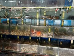 -来之顺海鲜菜馆·青岛菜(栈桥店)